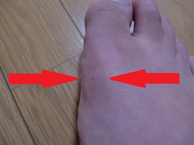 ���̃K���O���I�����Ì�